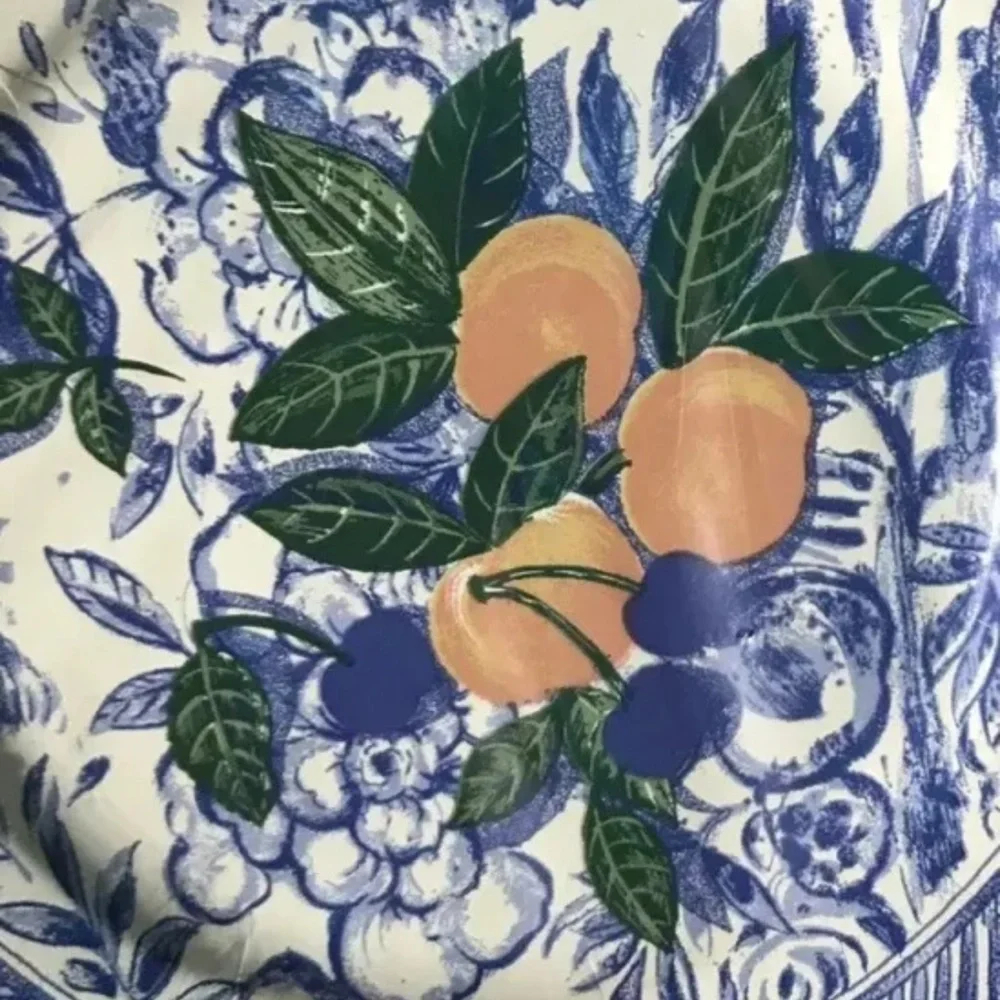 Isabelle De Borchgrave Caspari Salad Dessert Paper Plates Blue White Apricot Lot